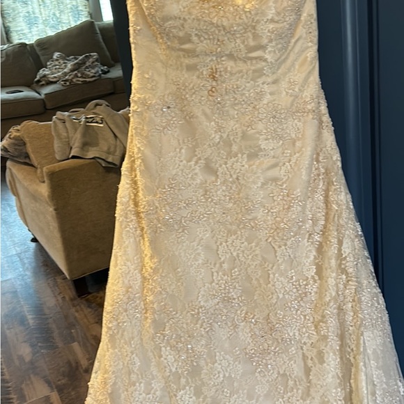 Wedding Dress with some stains - Picture 5 of 8